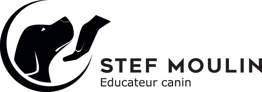 Stef Moulin – Educateur canin